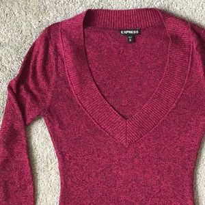 Express V-neck sweater